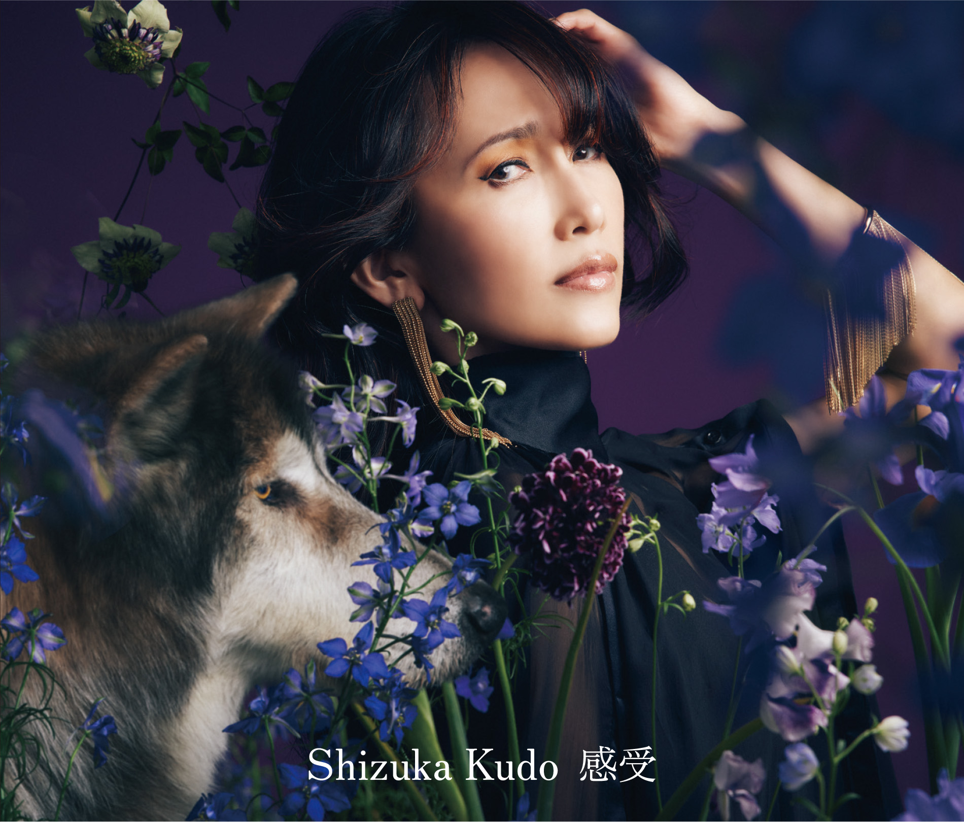 Ponycanyon Online Completely Limited Version】Shizuka Kudo Self-cover Album  